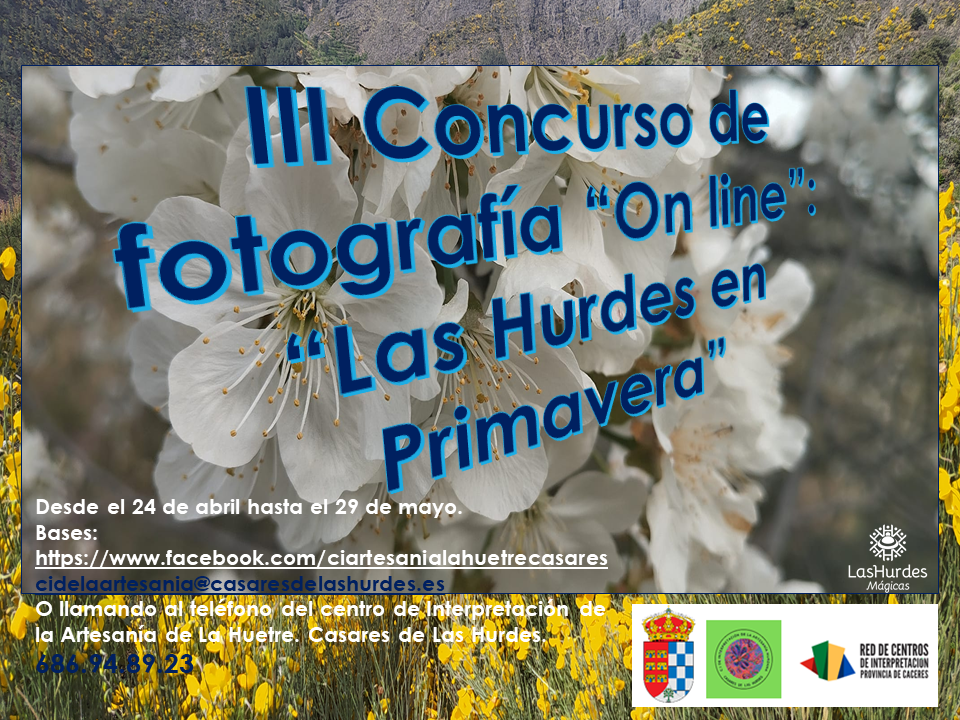Imagen III CONCURSO FOTOGRAFIA ON LINE